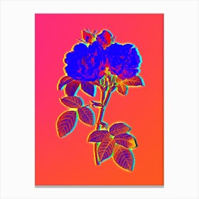 Neon Italian Damask Rose Botanical in Hot Pink and Electric Blue n.0256 Canvas Print