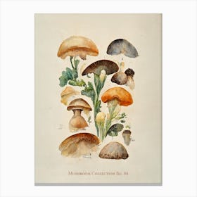 Mushroom Collection 04 Canvas Print