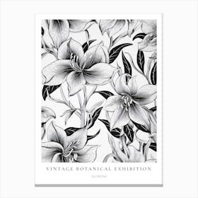 Gloriosa B&W Vintage Botanical Poster Canvas Print