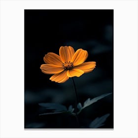 Dark Flower 4 Canvas Print