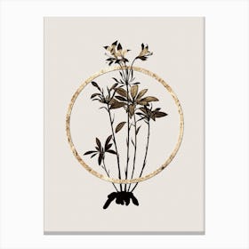Gold Ring Lily of the Incas Glitter Botanical Illustration n.0198 Canvas Print