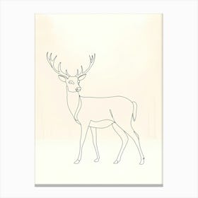 Deer Drawing Lienzo