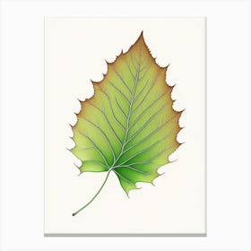 Sycamore Leaf Warm Tones Canvas Print