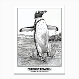 Penguin Hauling Out Of The Water Poster 4 Canvas Print