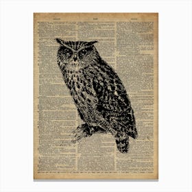 Owl Bird Canvas Print