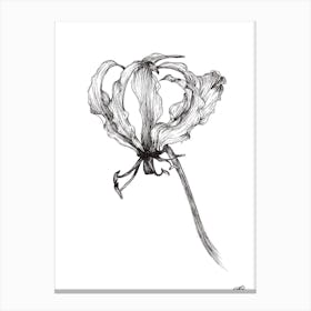 Black and White Flame Lilly 2 Canvas Print