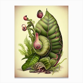 Assassin Snail  Botanical Canvas Print
