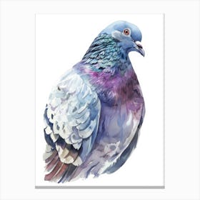 Pigeon Watercolor Illustration Canvas Print