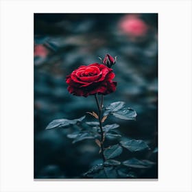 Red Rose 25 Canvas Print