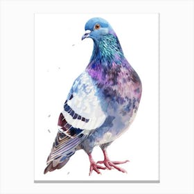 Pigeon 10 Canvas Print