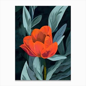 Tulip 2 Canvas Print