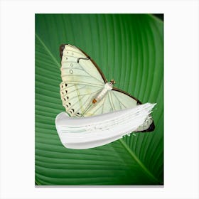 Butterfly On A Leaf 2 Toile