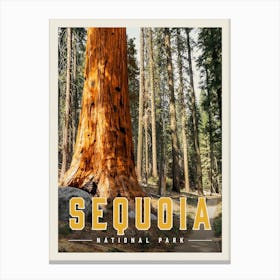 Sequoia Travel Poster Canvas Print