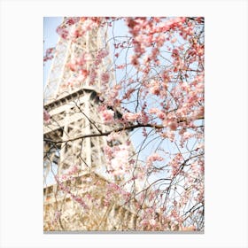 Cherry Blossom Eiffel Tower Canvas Print