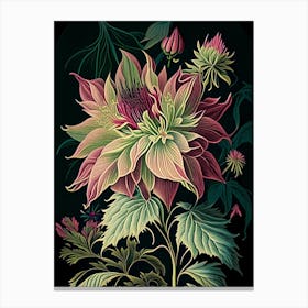 Dahlia Imperialis 1 Floral Botanical Vintage Poster Flower Canvas Print