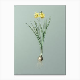 Vintage Lesser Wild Daffodil Botanical Art on Mint Green n.0285 Canvas Print