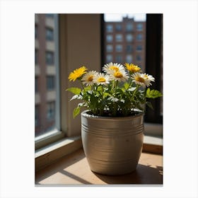 Daisies In A Pot Canvas Print