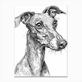 Whippet Dog Line Sketch 1 Canvas Print