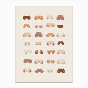 All Shapes and Sizes Boobs Print Canvas Print