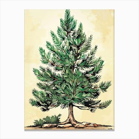 Douglas Fir Tree Storybook Illustration 1 Canvas Print