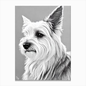 Cairn Terrier B&W Pencil dog Canvas Print