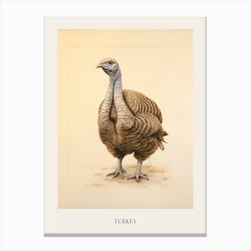 Vintage Bird Drawing Turkey 1 Poster Canvas Print