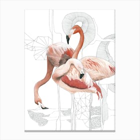 Flamingos 6 Canvas Print