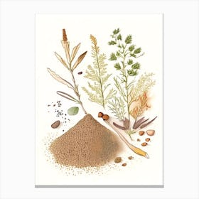 Gravel Root Spices And Herbs Pencil Illustration 2 Canvas Print