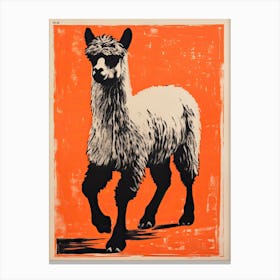 Alpaca, Woodblock Animal Drawing 4 Canvas Print
