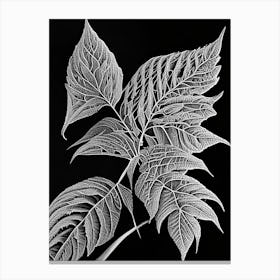 Pokeweed Leaf Linocut 3 Canvas Print