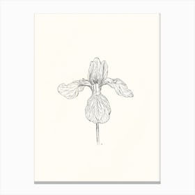 Iris Ink Drawing Canvas Print