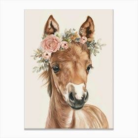 Foal With Flower Crown Canvas Print