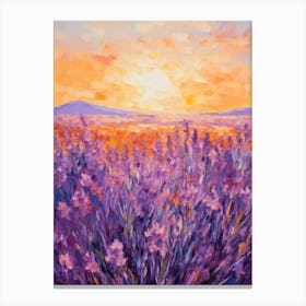 Sunset In Lavender Field 2 Canvas Print