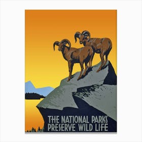 National Parks Preserve Wildlife, USA Vintage Poster Canvas Print