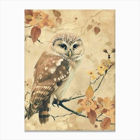 Northern Saw Whet Owl Japanese Painting 2 Canvas Print