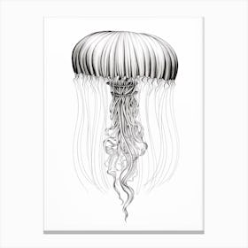 Box Jellyfish Drawing 4 Canvas Print