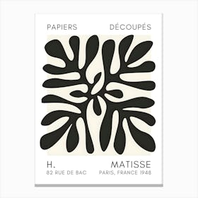 Matisse 33 Canvas Print