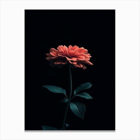 Single Flower 4 Canvas Print