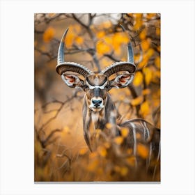 Antelope 1 Canvas Print