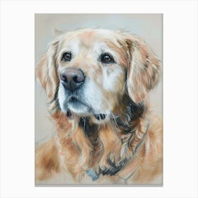 Dog Pastel Watercolour 4 Canvas Print