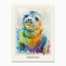 Elephant Seal Colourful Watercolour 2 Poster Canvas Print