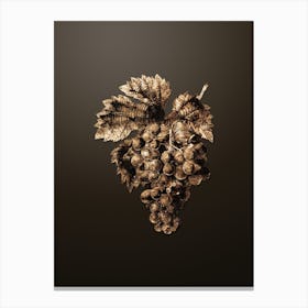 Gold Botanical Grape Vine on Chocolate Brown n.2574 Canvas Print