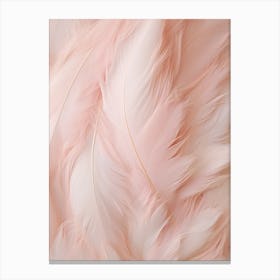 Pink Boho Feather 4 Canvas Print