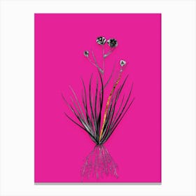 Vintage Blue CornLily Black and White Gold Leaf Floral Art on Hot Pink Canvas Print