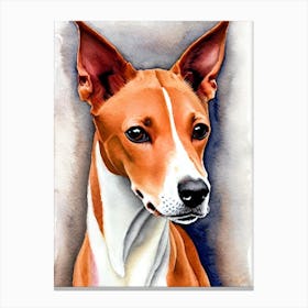 Ibizan Hound 2 Watercolour dog Canvas Print