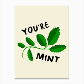 You're Mint Cream Canvas Print