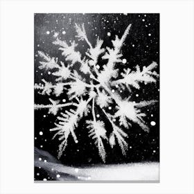 Frozen, Snowflakes, Black & White 5 Canvas Print