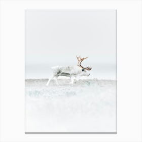 Made to face the hardest conditions Canvas Print
