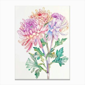 Chrysanthemums 2 Canvas Print