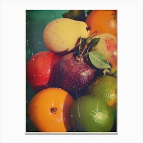 Funky Fruit Polaroid Inspired 4 Canvas Print